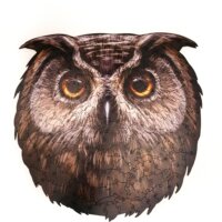 Пазл из дерева животные Сова Филлин купить в Минке с доставкой по Беларуси